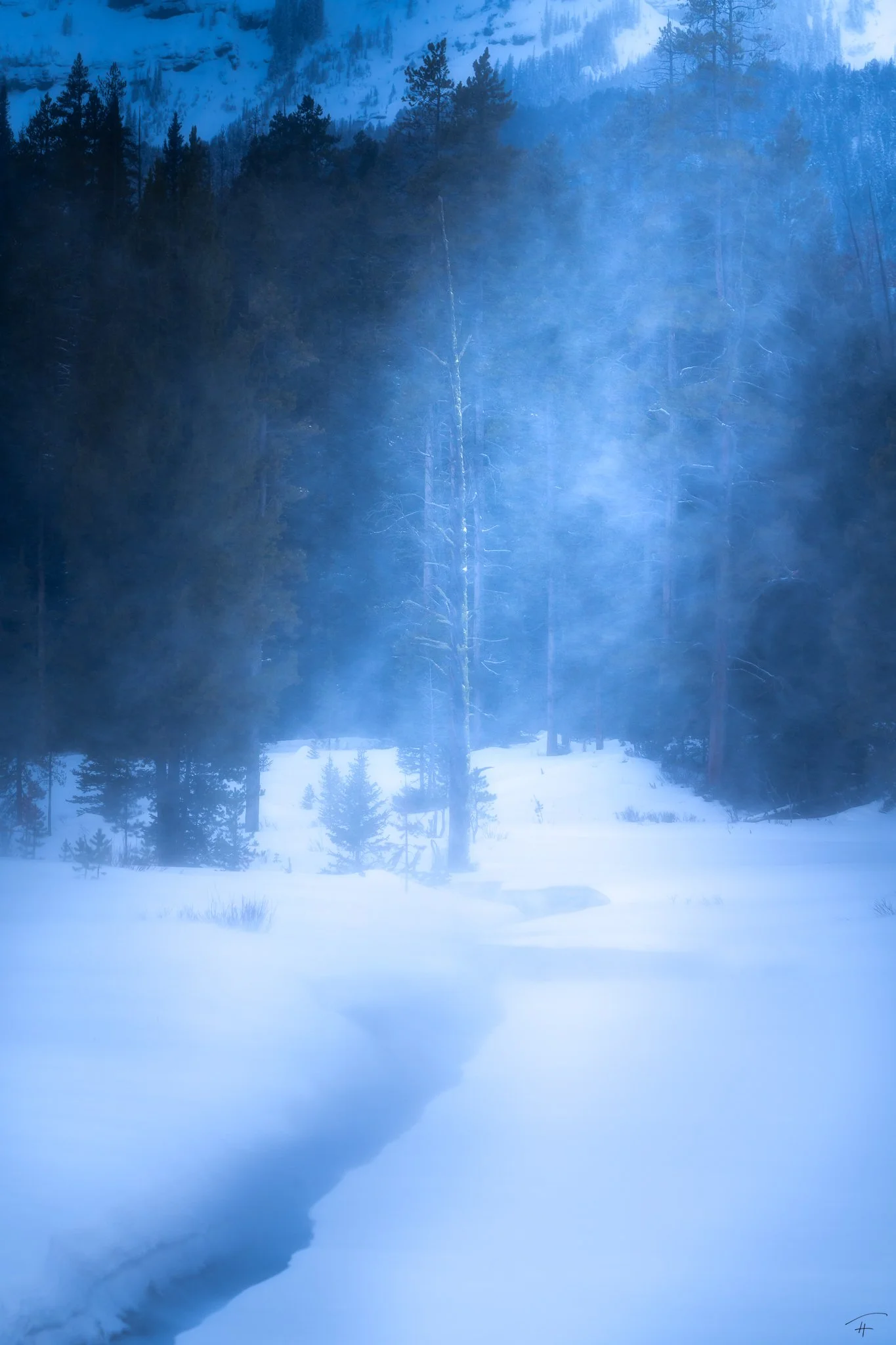 To Be Held by the Wind.jpg