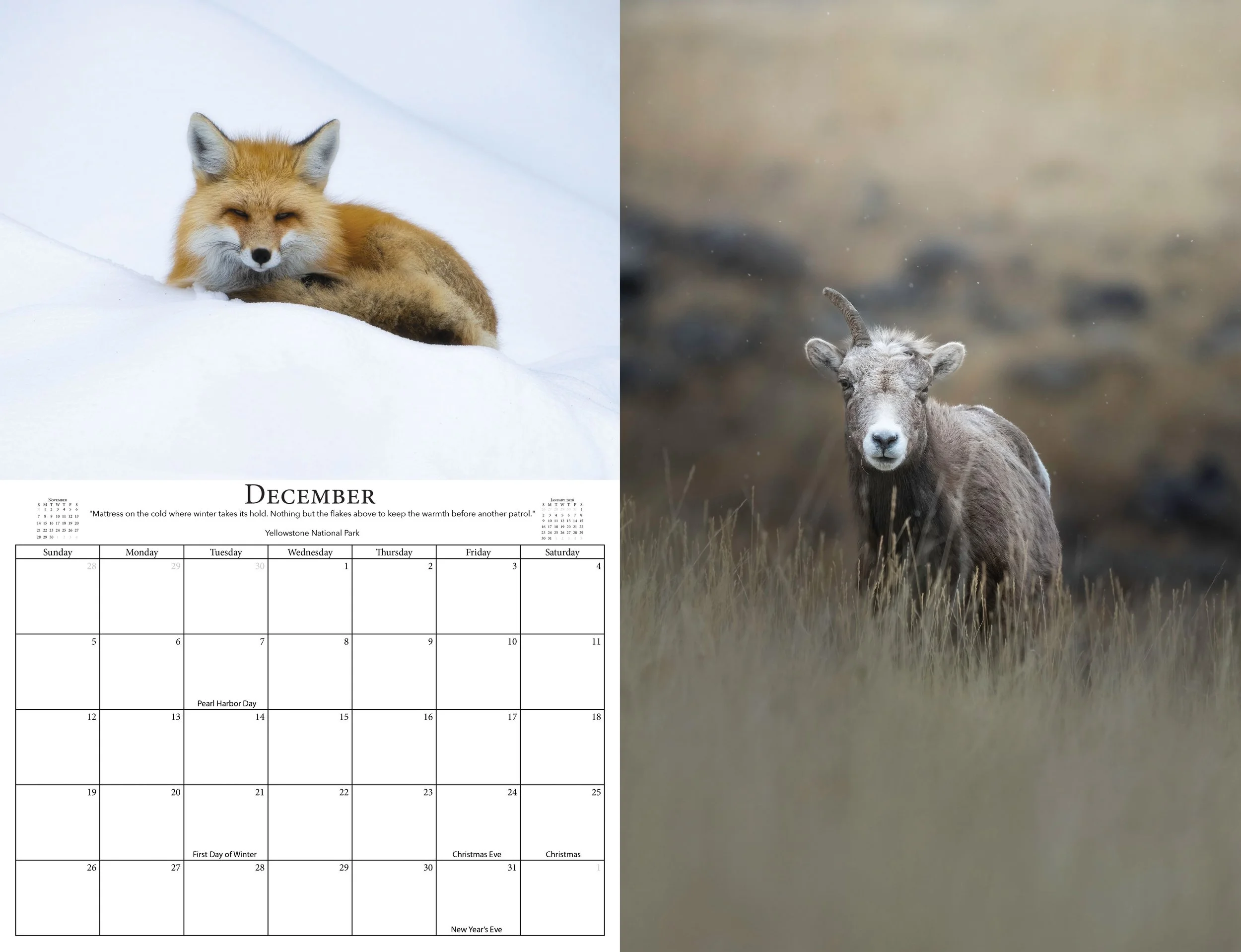 December 2027.jpg