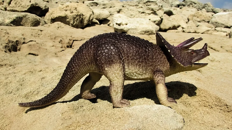 triceratops-1640111_960_720.jpg