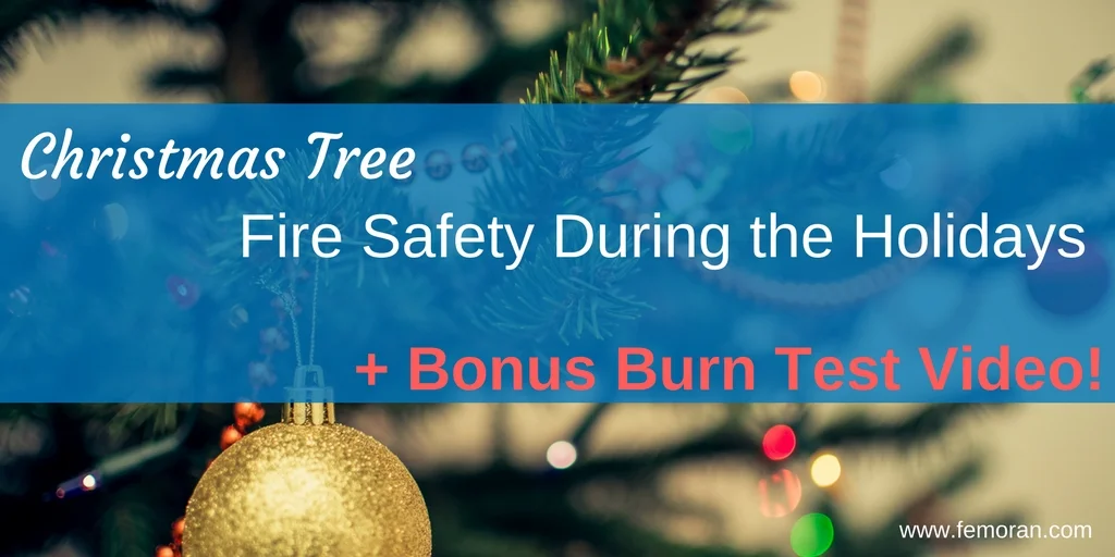 Christmas Tree Fire Safety.jpg