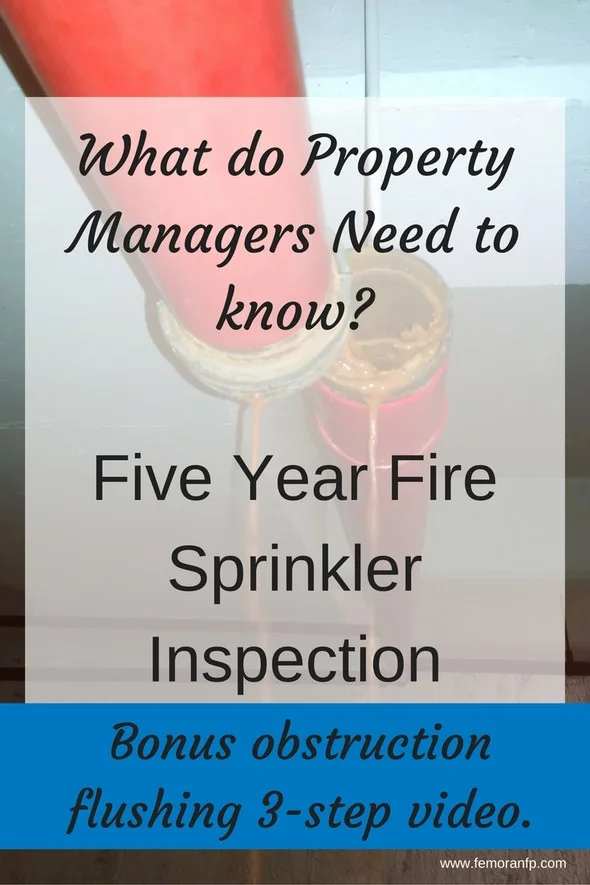 5-year+fire+sprinkler+inspection.jpg