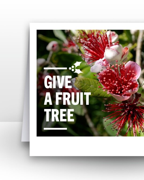 Give A Fruit Tree Gift Card