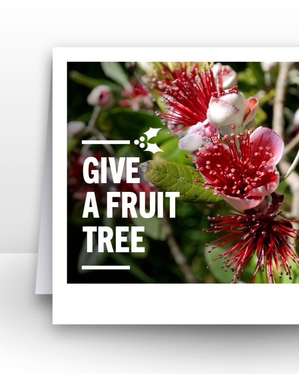 Give A Fruit Tree Gift Card (printed)