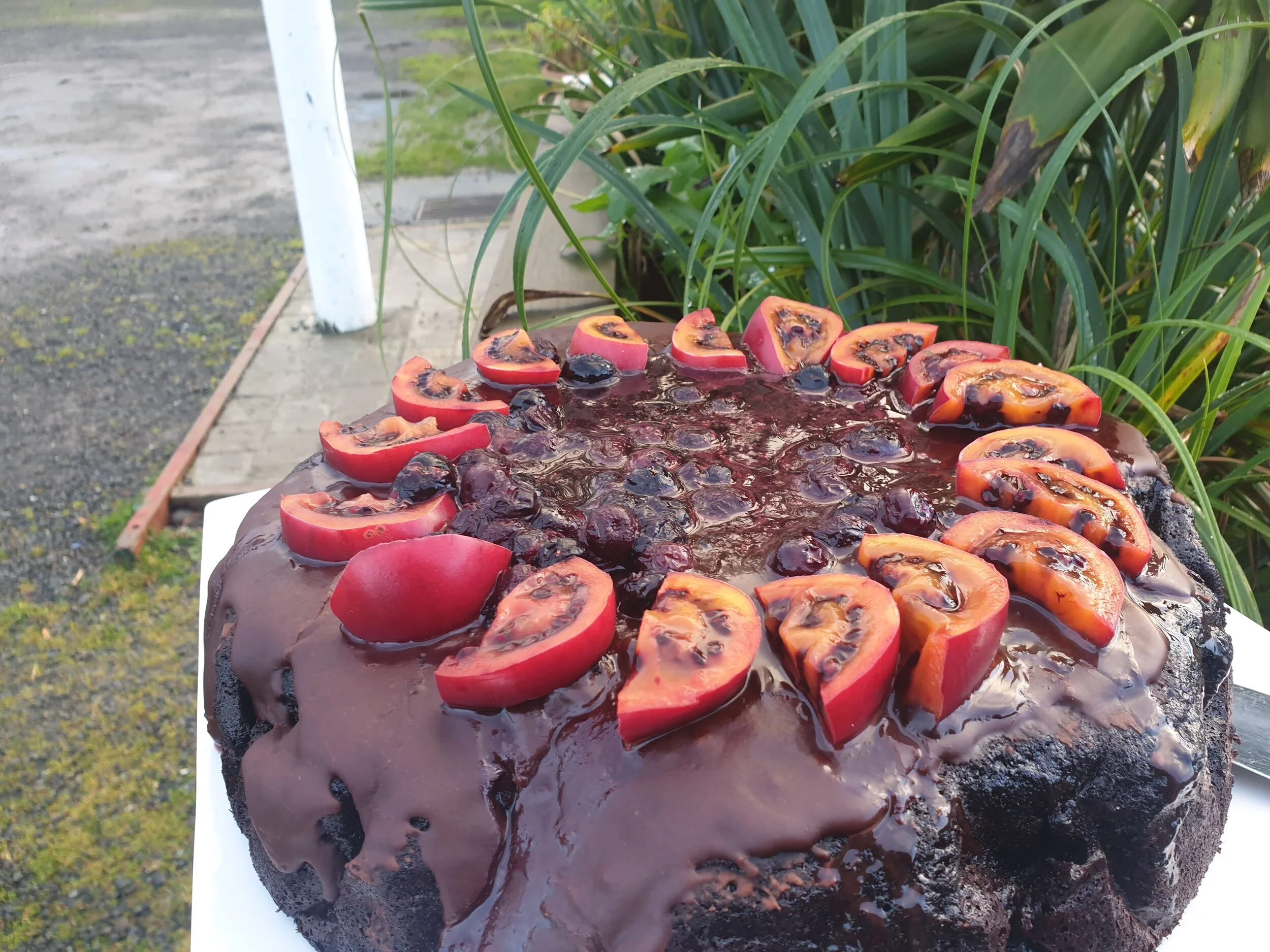 ReMakery`s Famous Chocolate Cake - whole cake