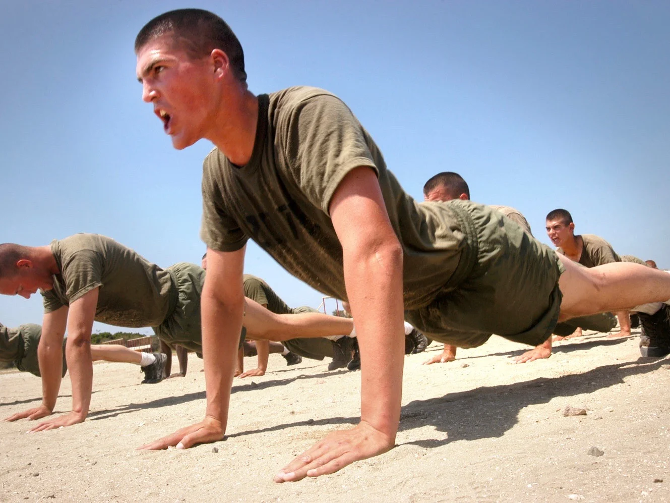 United States Marine Corps troops doing pushups; Image courtesy of Wikimedia Commons