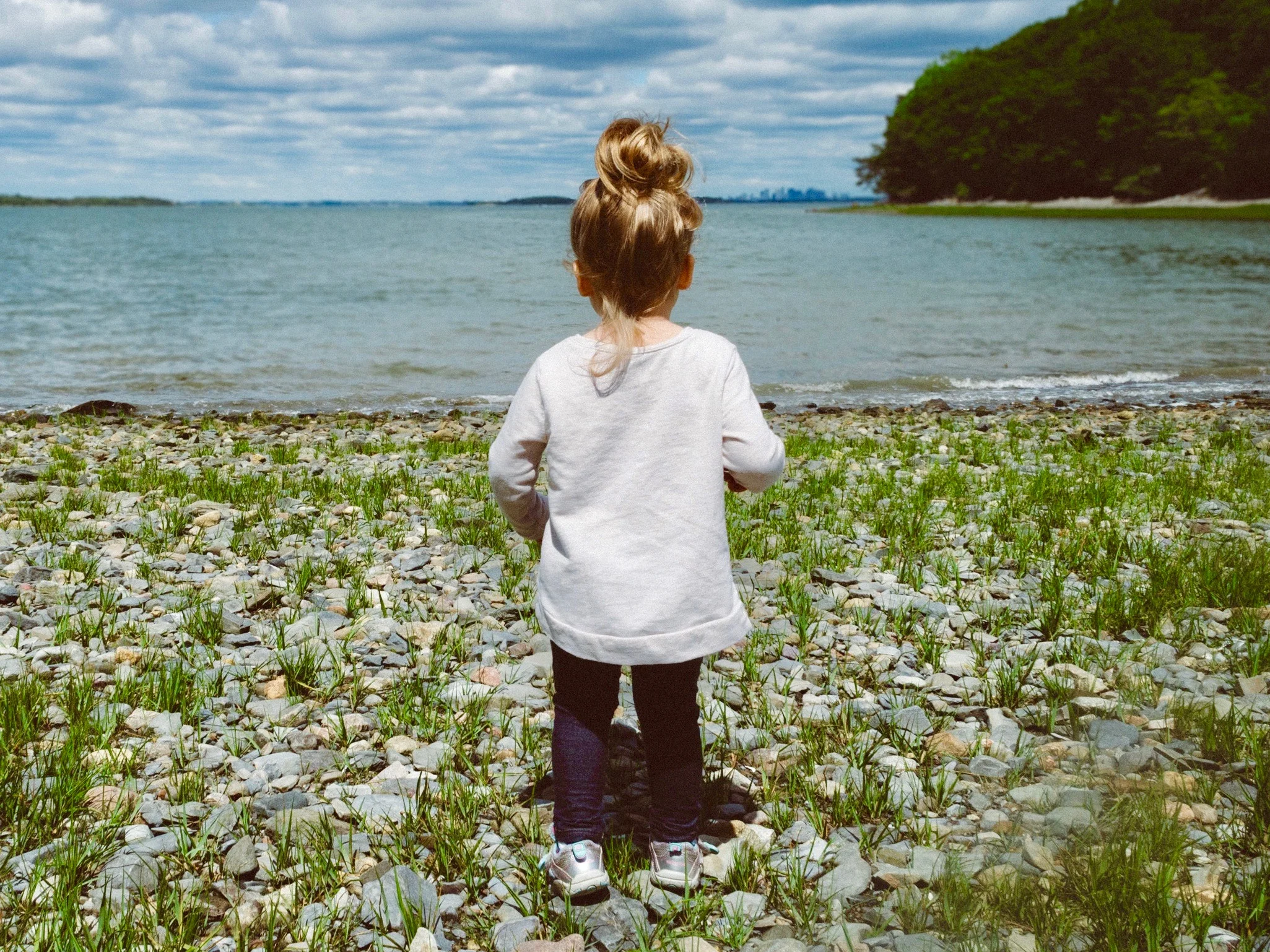 Photo by Kelly Sikkema on Unsplash