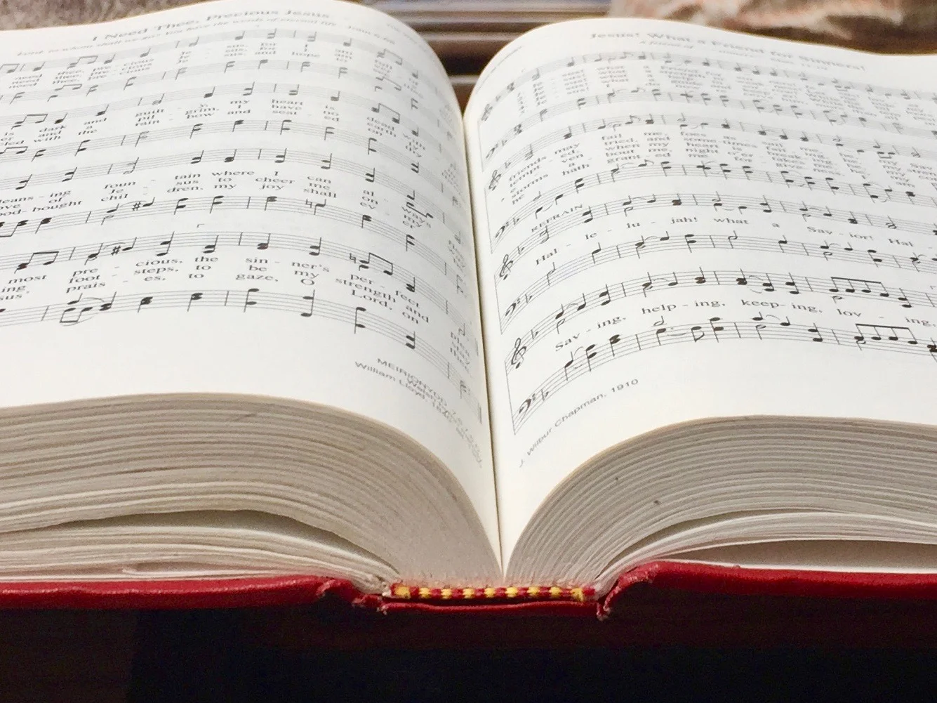 Priestly Role Singing HERO.jpg