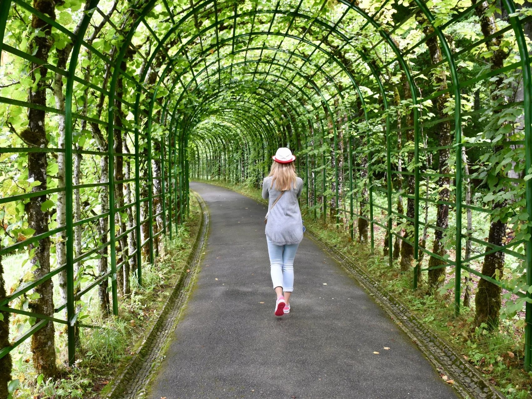 Image by Vedrana Sucic