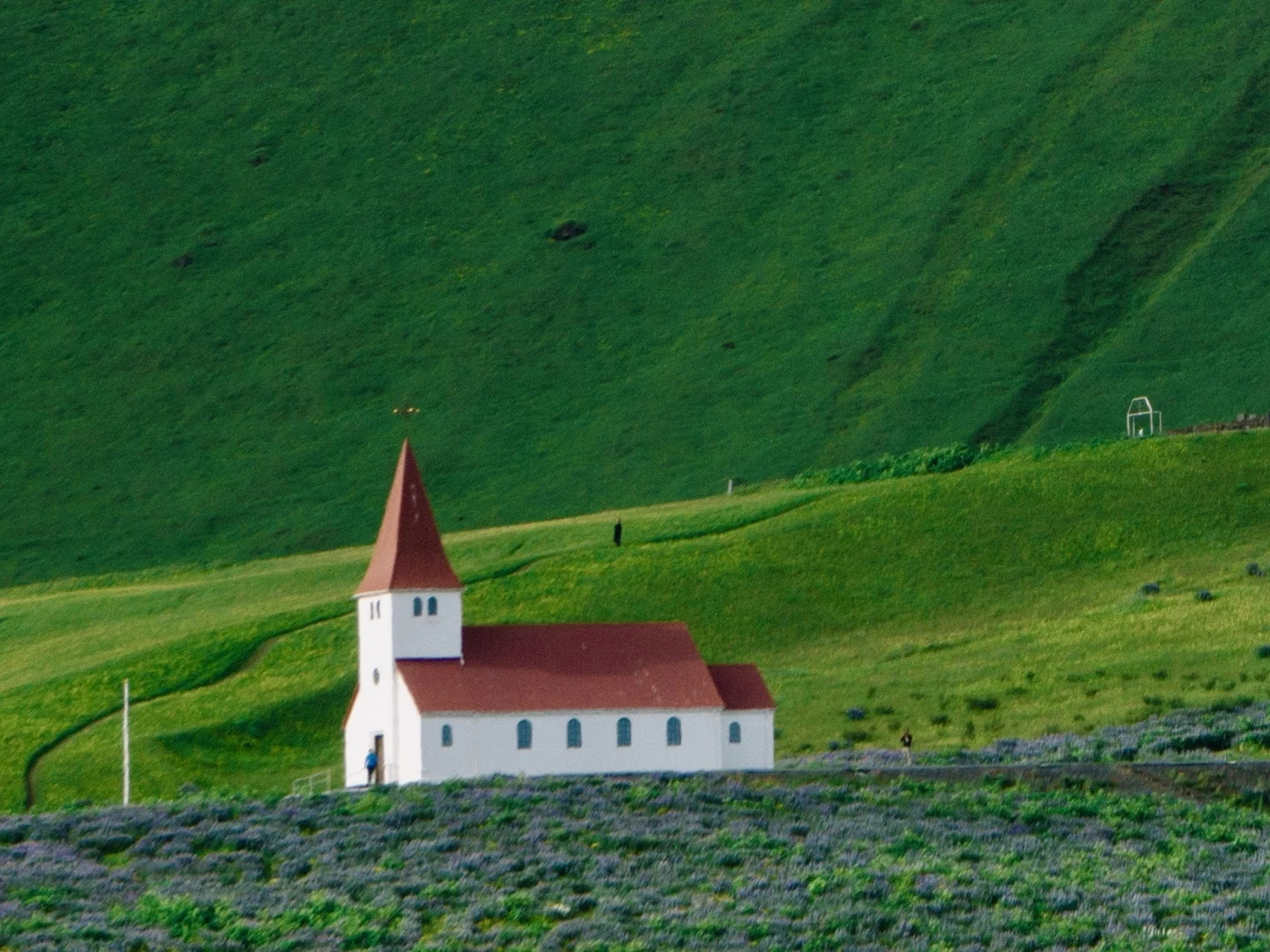 Photo by Rex Pickar on Unsplash