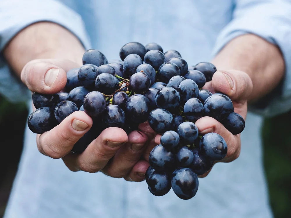 Photo by Maja Petric on Unsplash