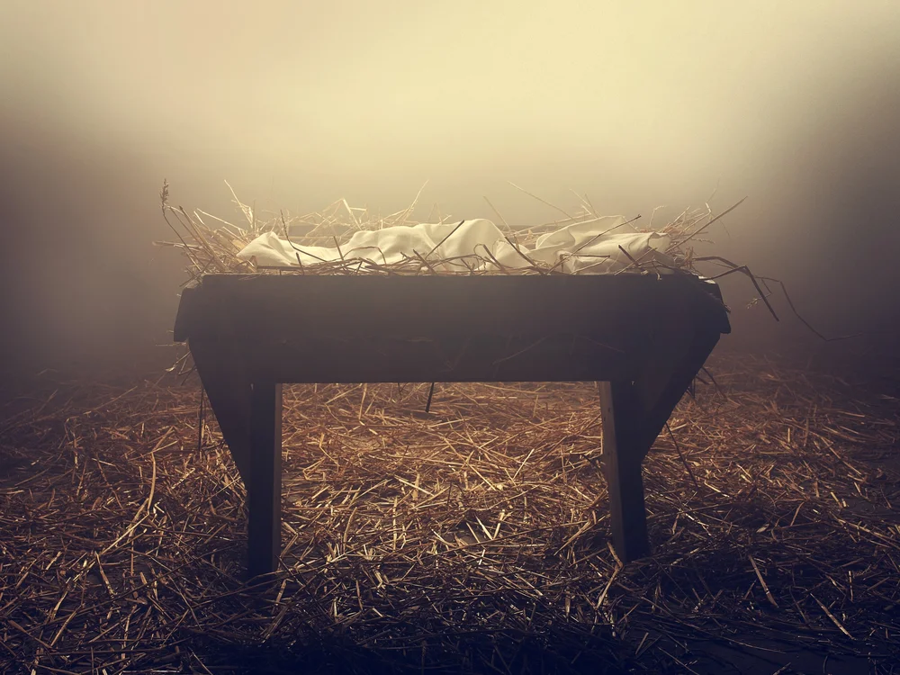 Image by Shutterstock.com