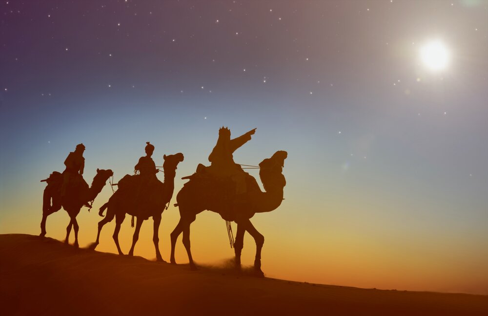Image by Shutterstock.com