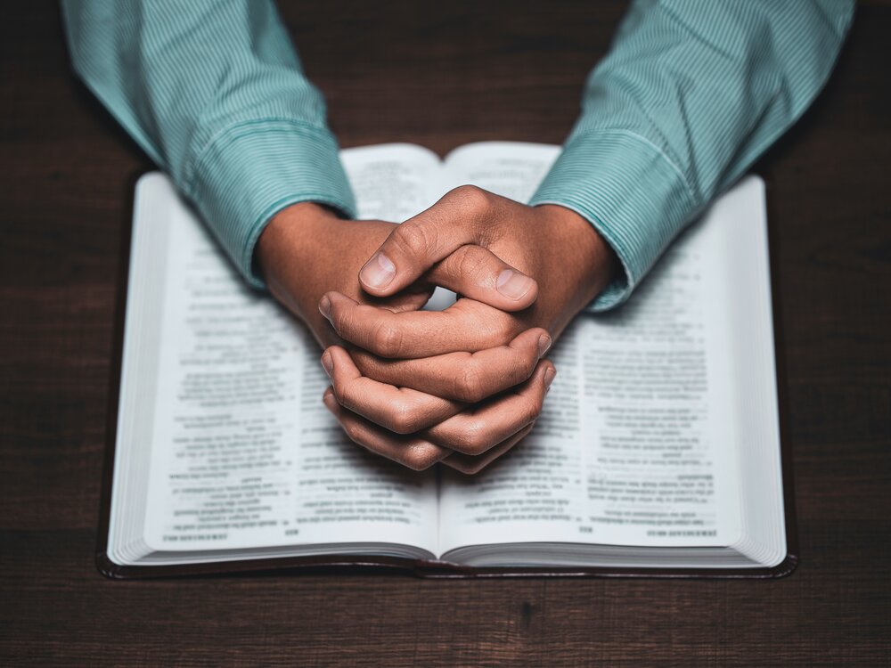 Image by Shutterstock.com