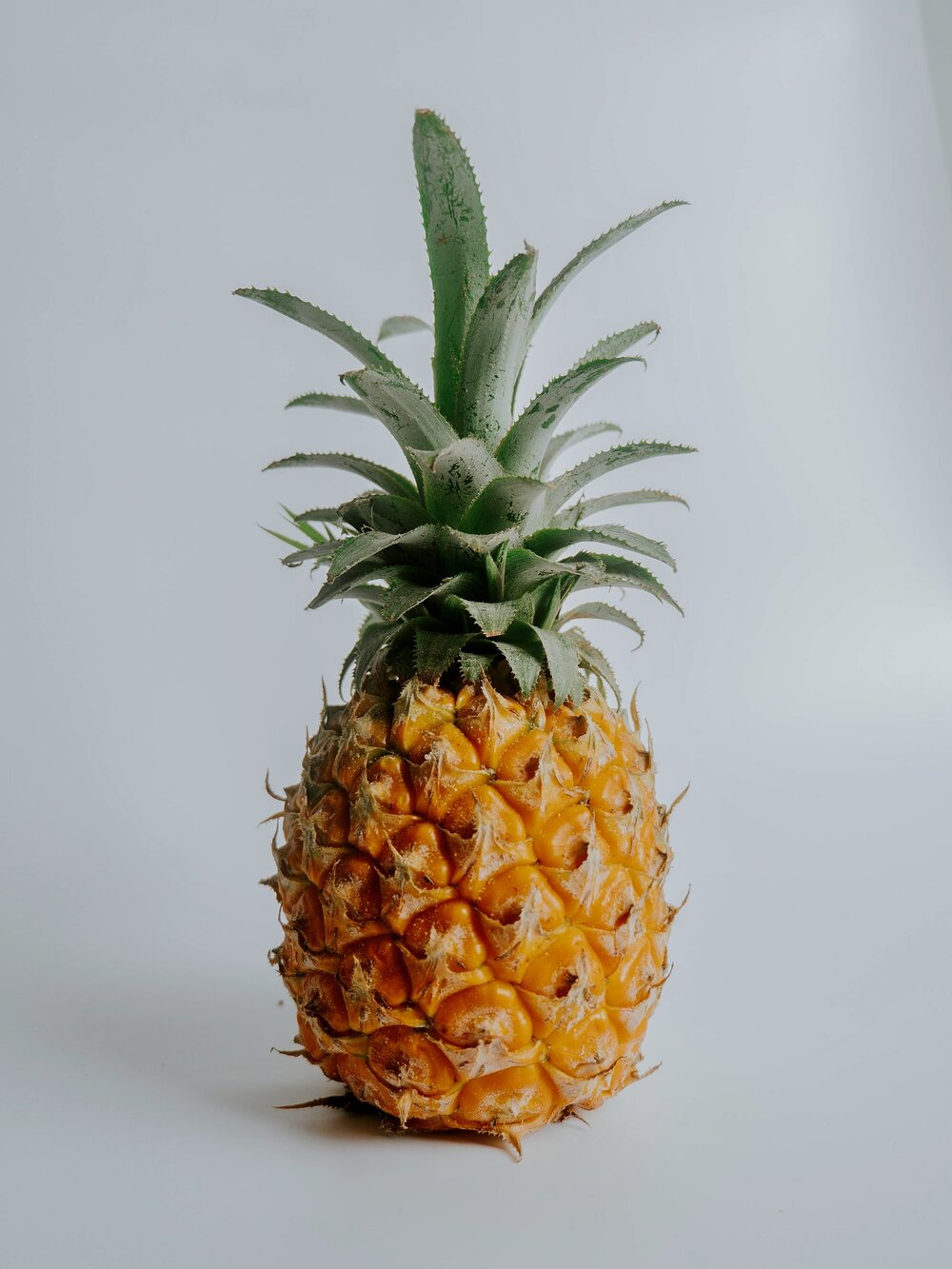 Photo by nguyen ngoc tung on Unsplash