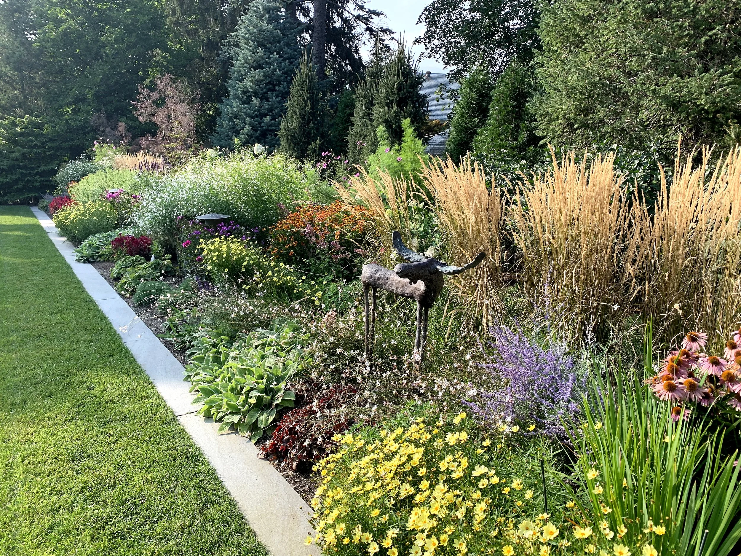 Copy of IMG_1508.JPG