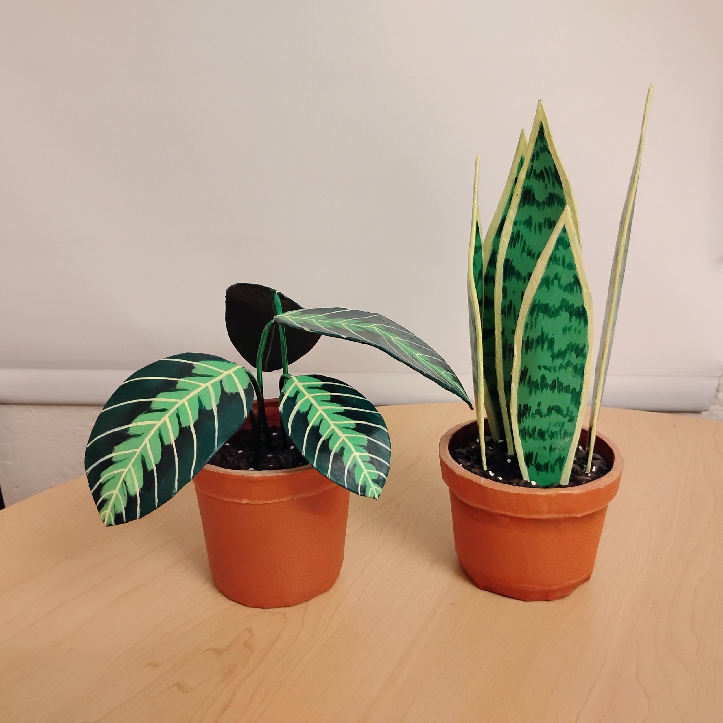 Prayer Plant and Snake Plant  Paper mache, acrylic, and wire 2025