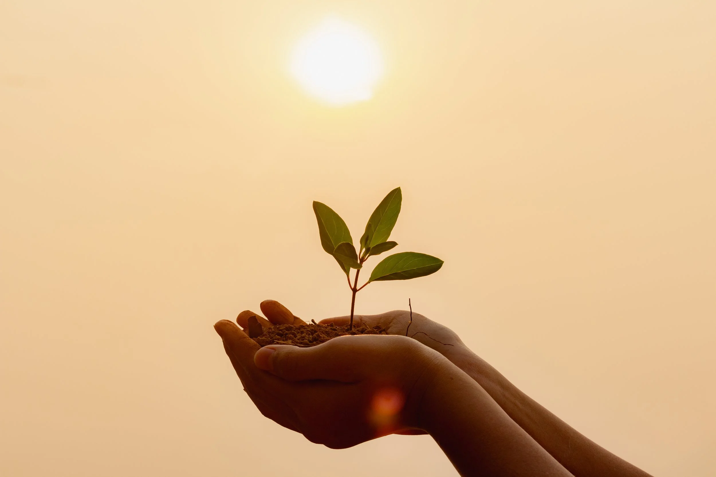 Three Steps to G.R.O.W. a High-Performance Team