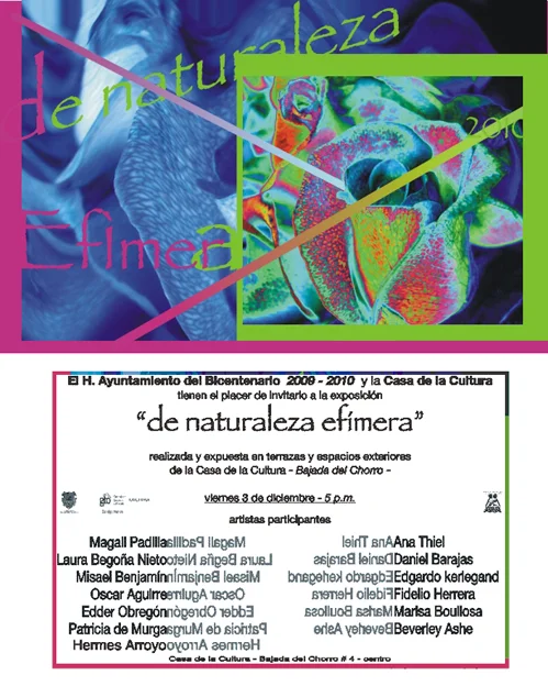 Efimero2010F.jpg