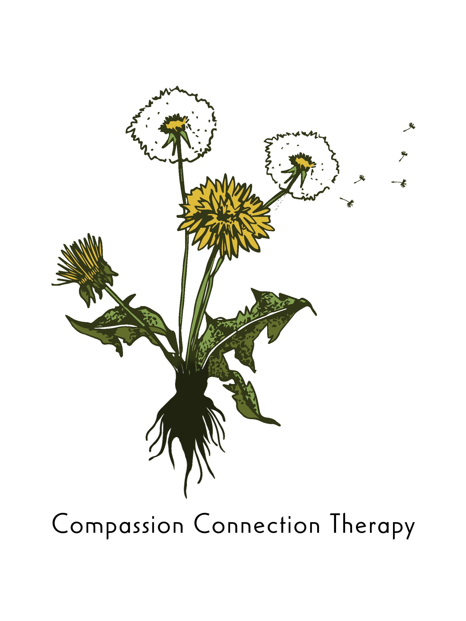 Compassion Connection Therapy Logo
