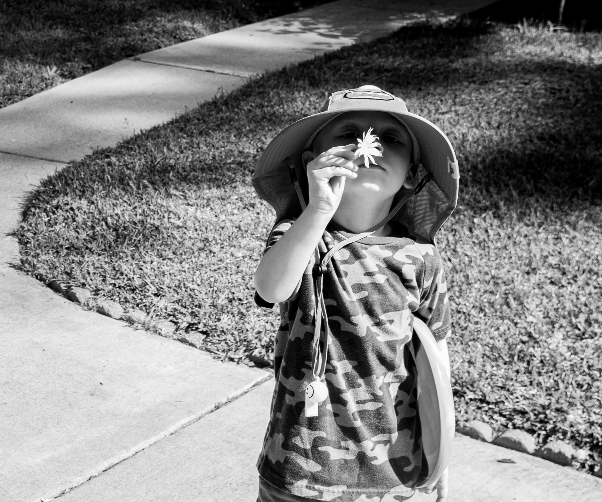 _DSC6850.JPEG