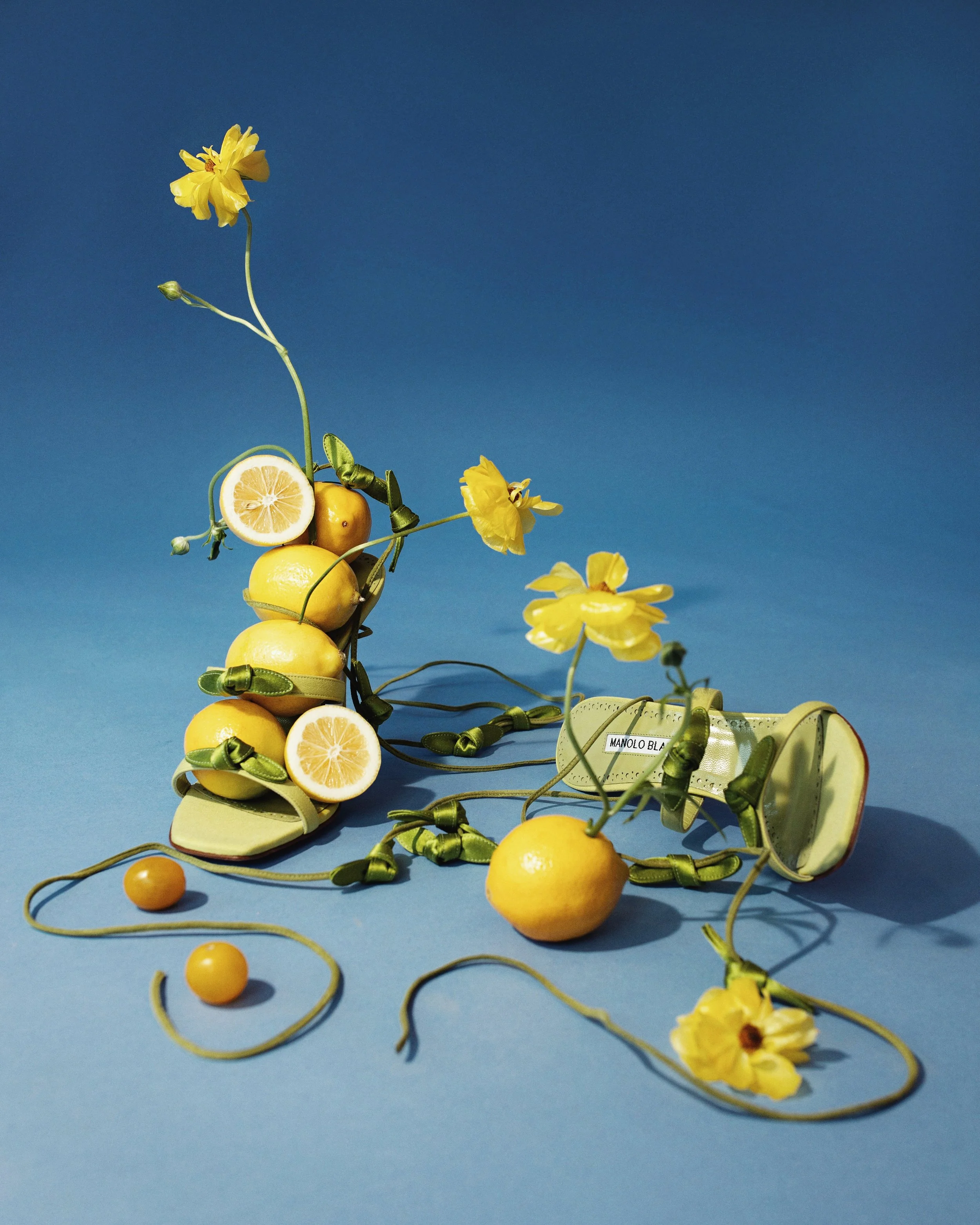 lemons-10.JPG