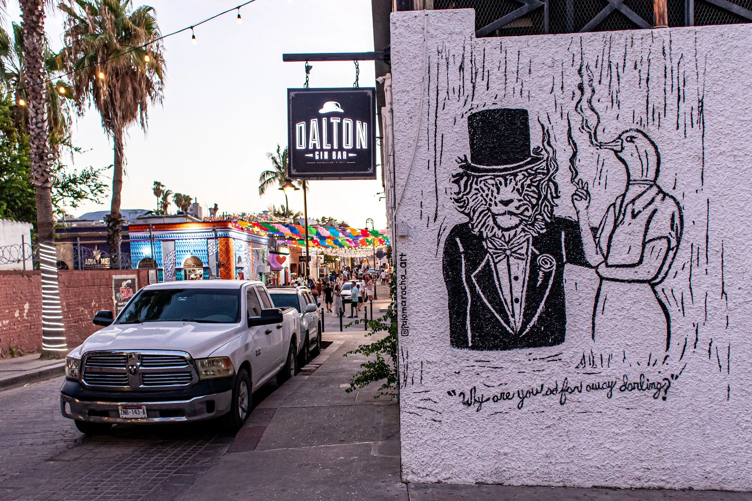 SAN JOSE DEL CABO MEXICO