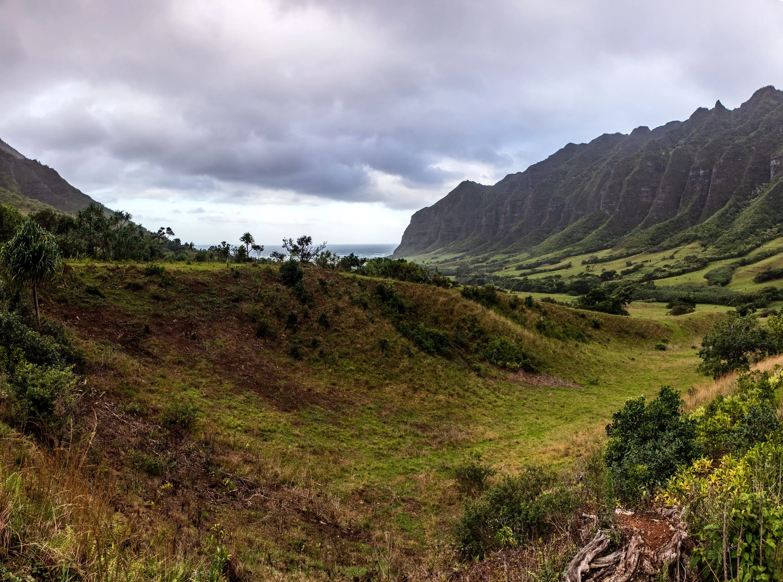OAHU HI