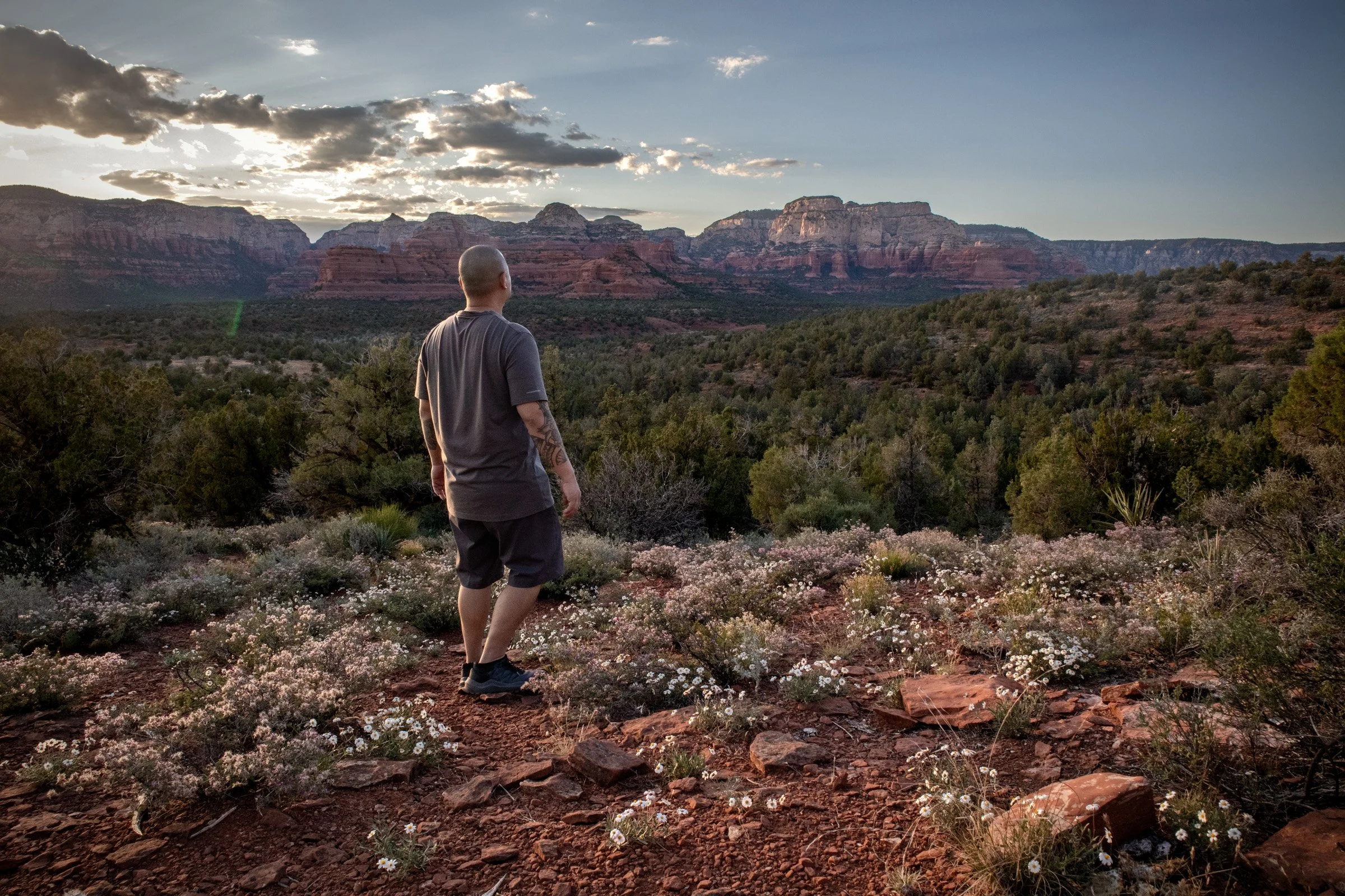 SEDONA AZ