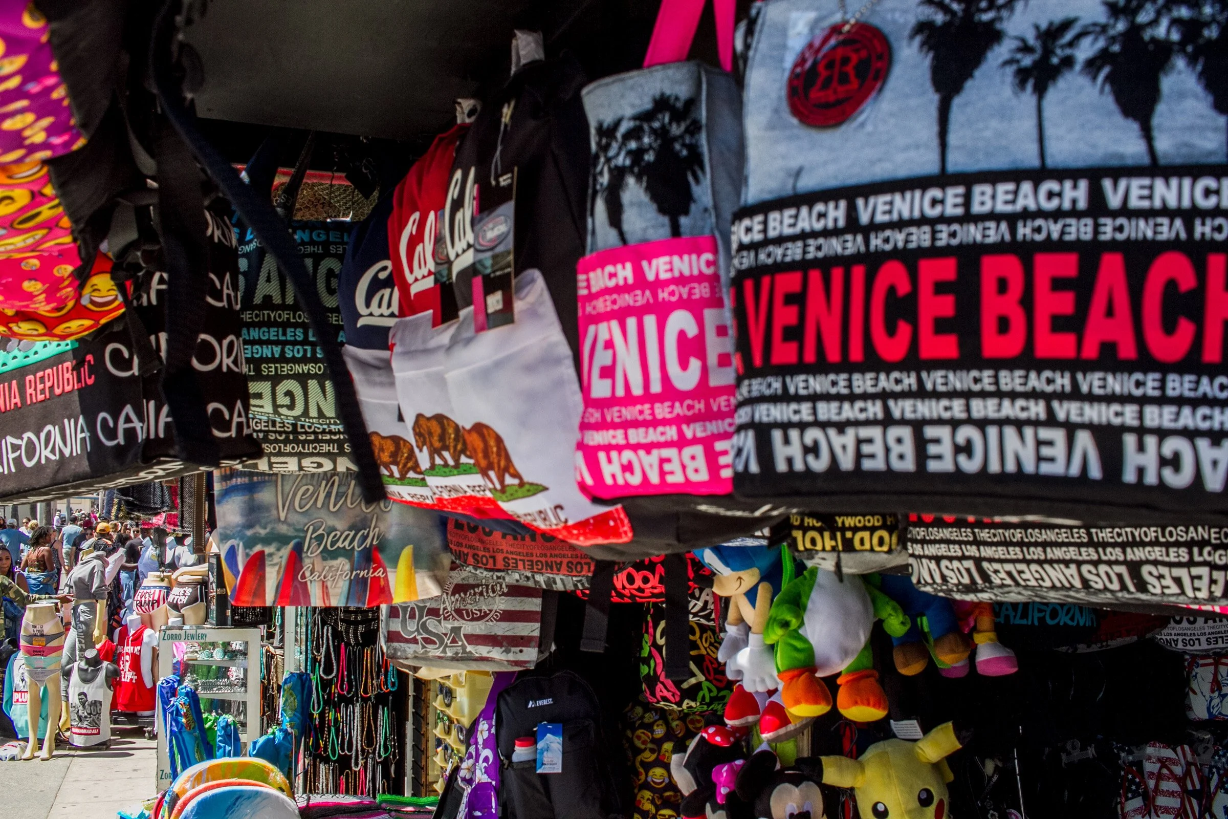 VENICE BEACH CA
