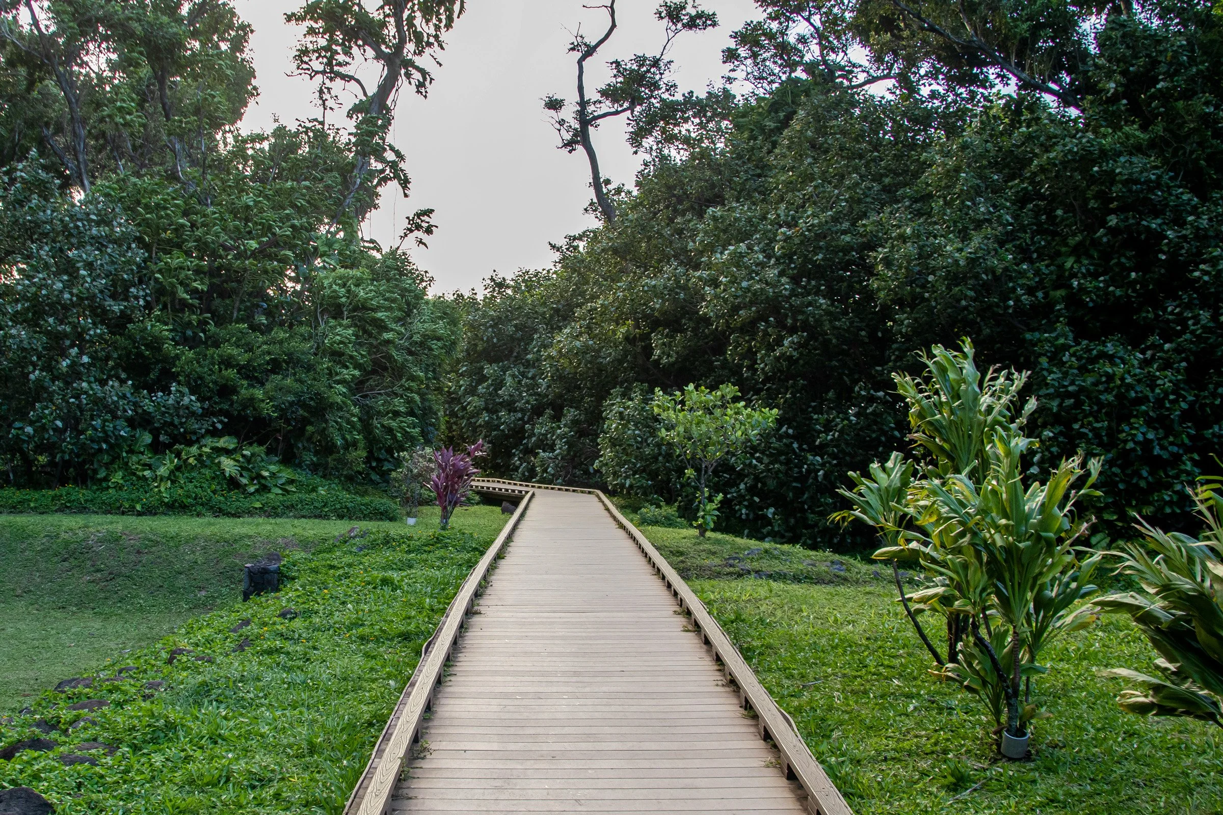  Ke'e Beach - Kauai - Hawaii 