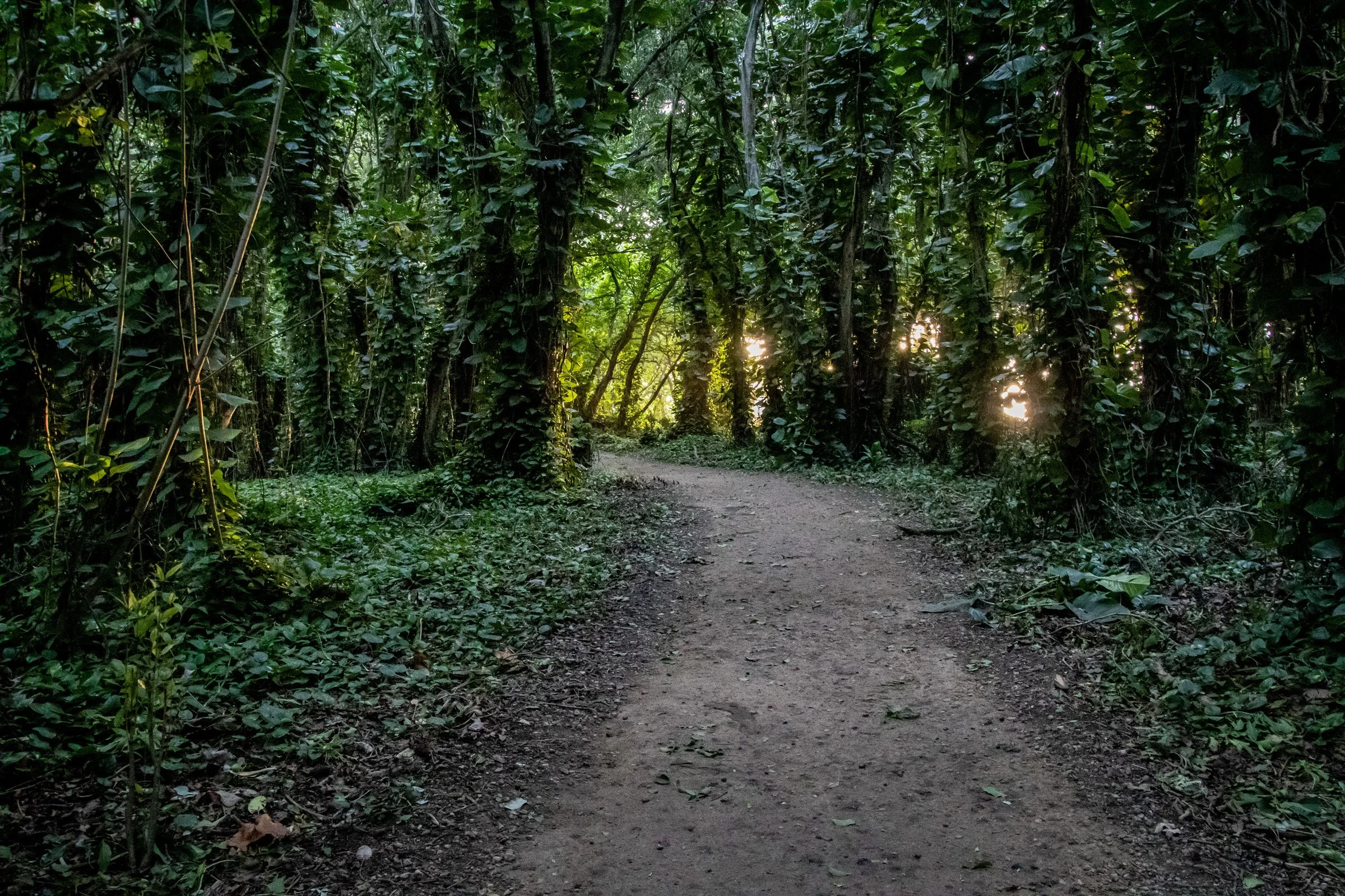  Ke'e Beach - Kauai - Hawaii 