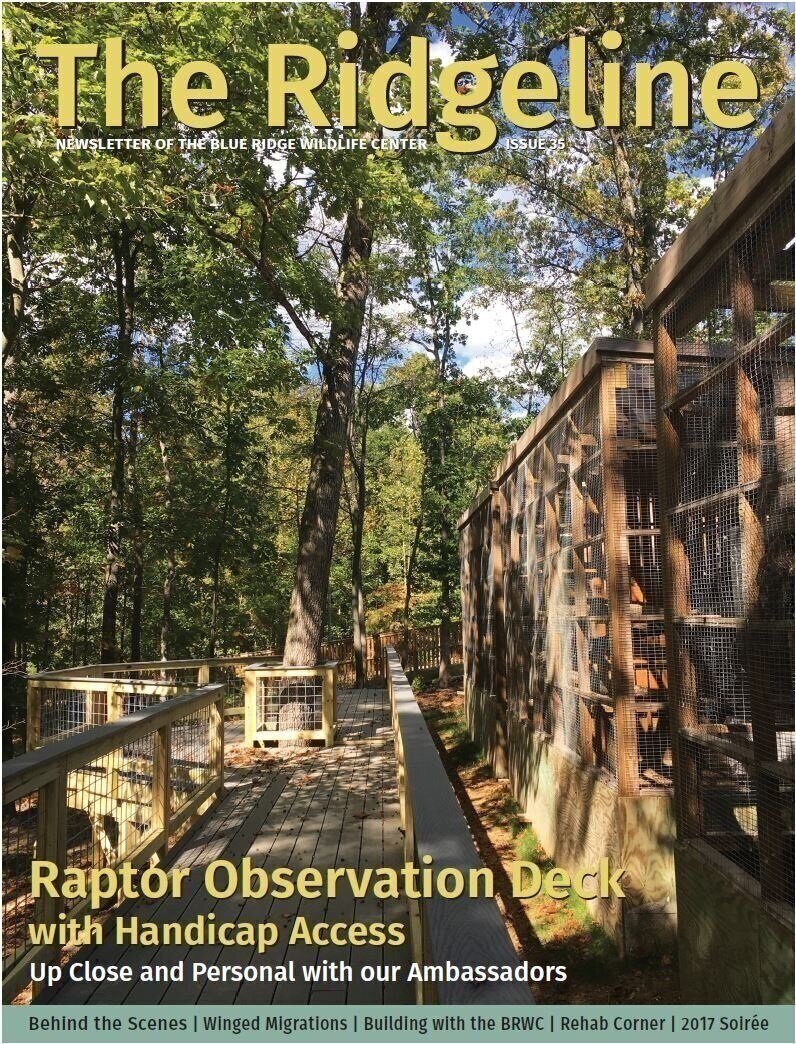 Issue 35 - Fall 2017