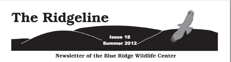 Issue 18 - Summer 2012