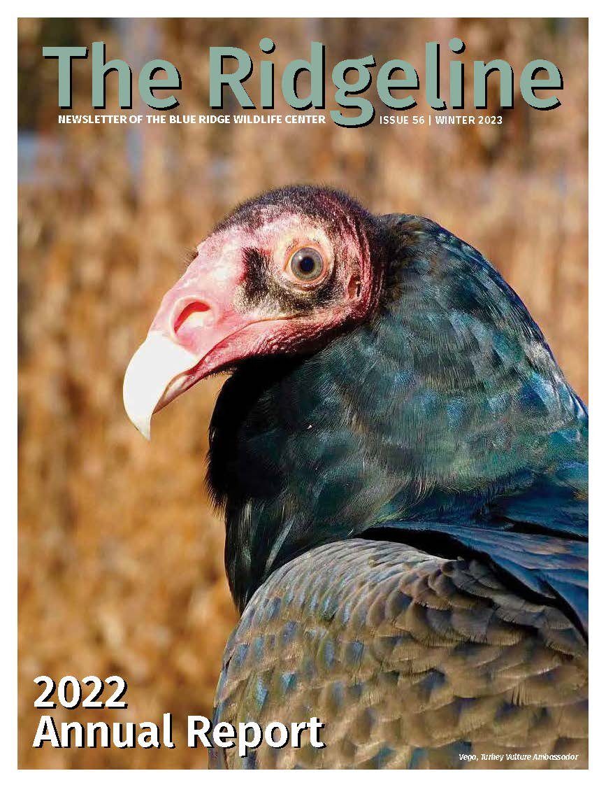 Issue 56 - Winter 2023