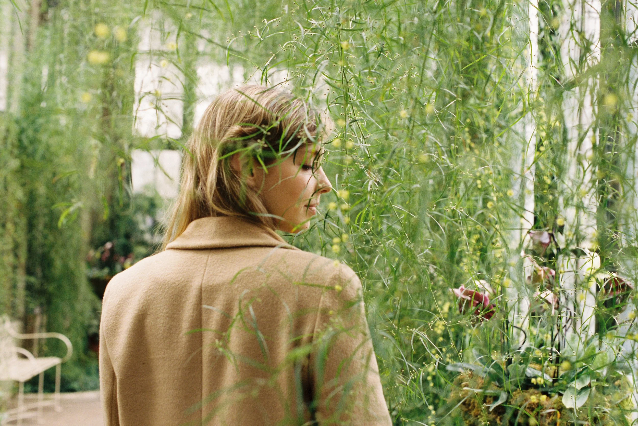 04 - The Light in the Leaves Pt. IV.jpg