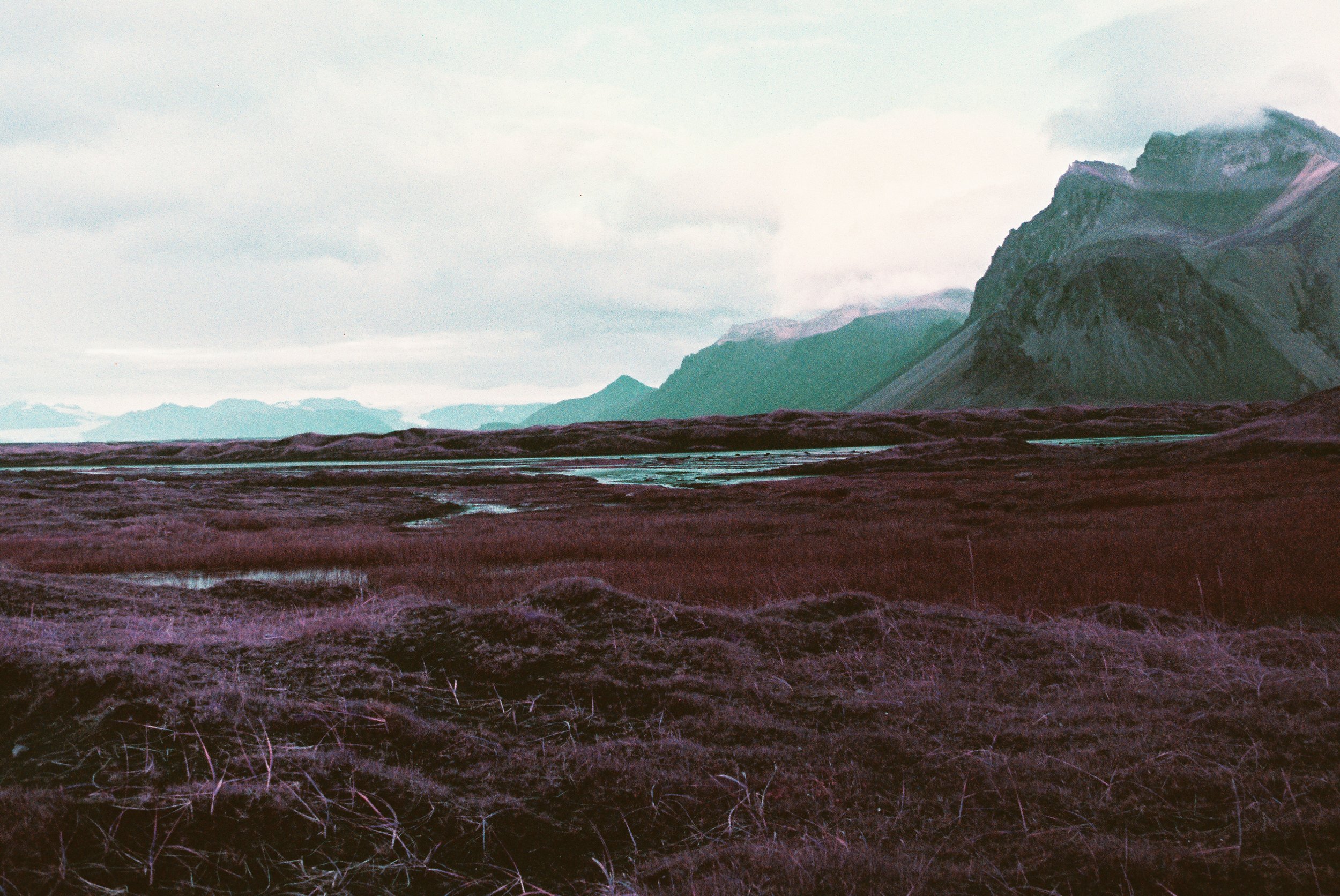 Lomochrome Purple - Stoksness 1.jpg