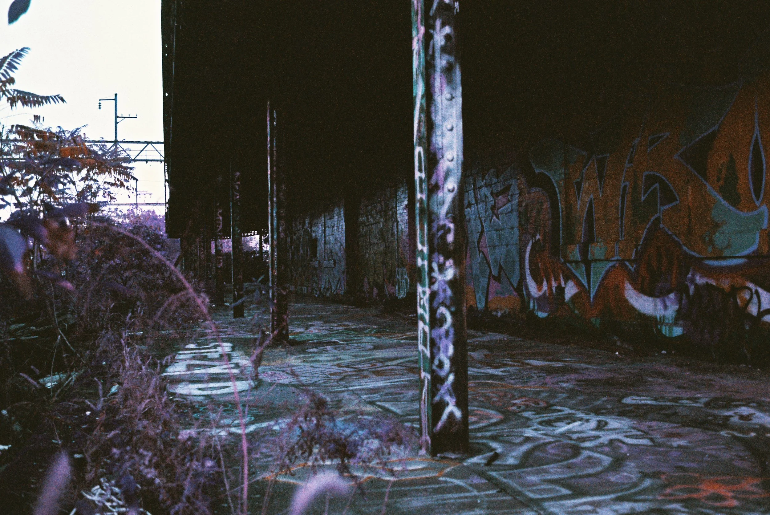TylerI4_TylerI4-R1-E021.jpg