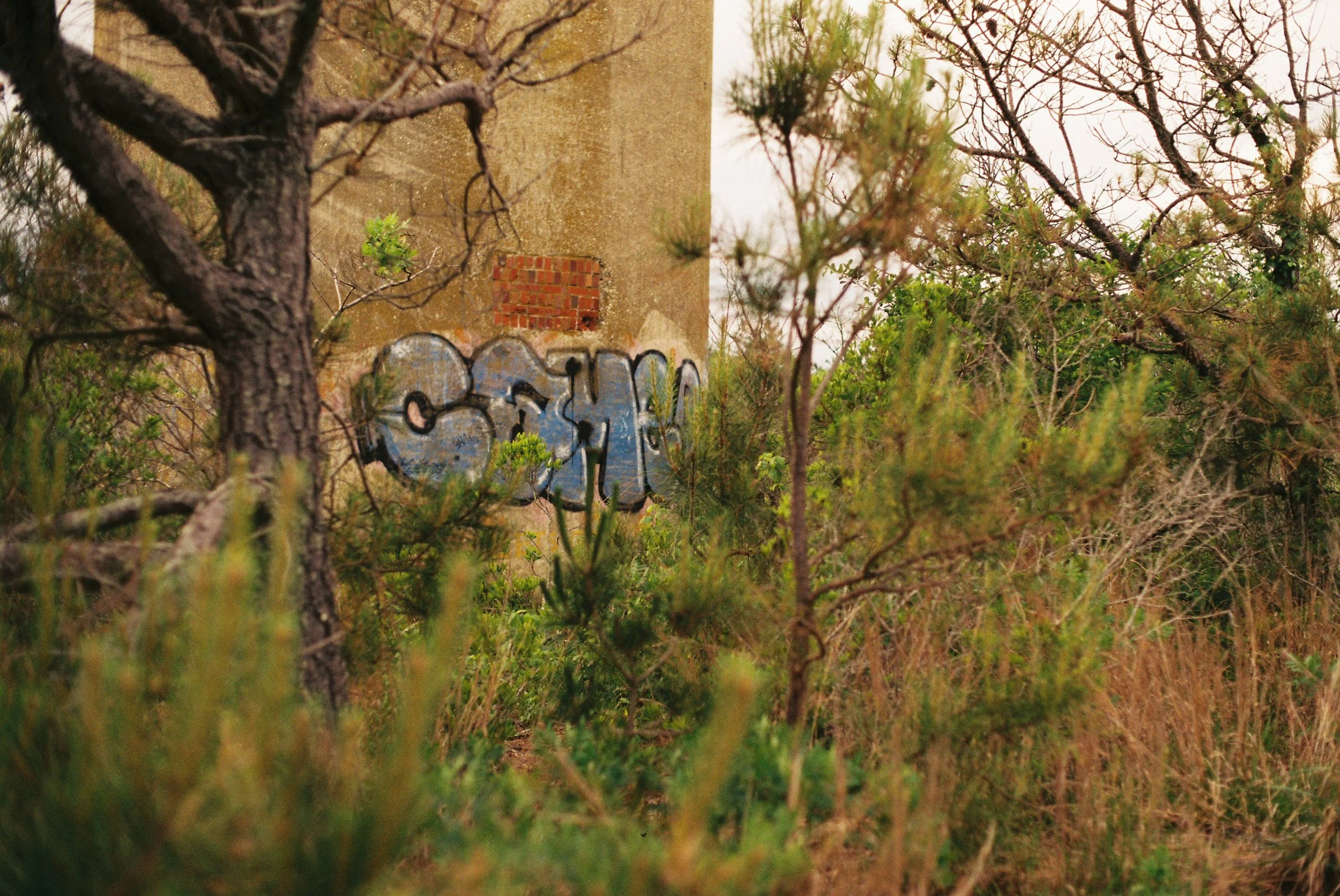 TylerI4_TylerI4-R1-009-3.jpg