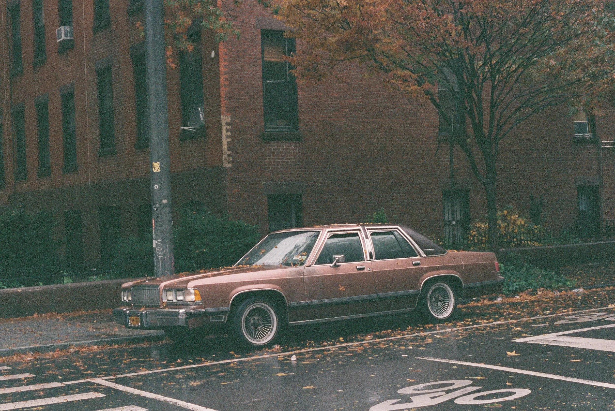 TylerI1_TylerI1-R9-E281.jpg