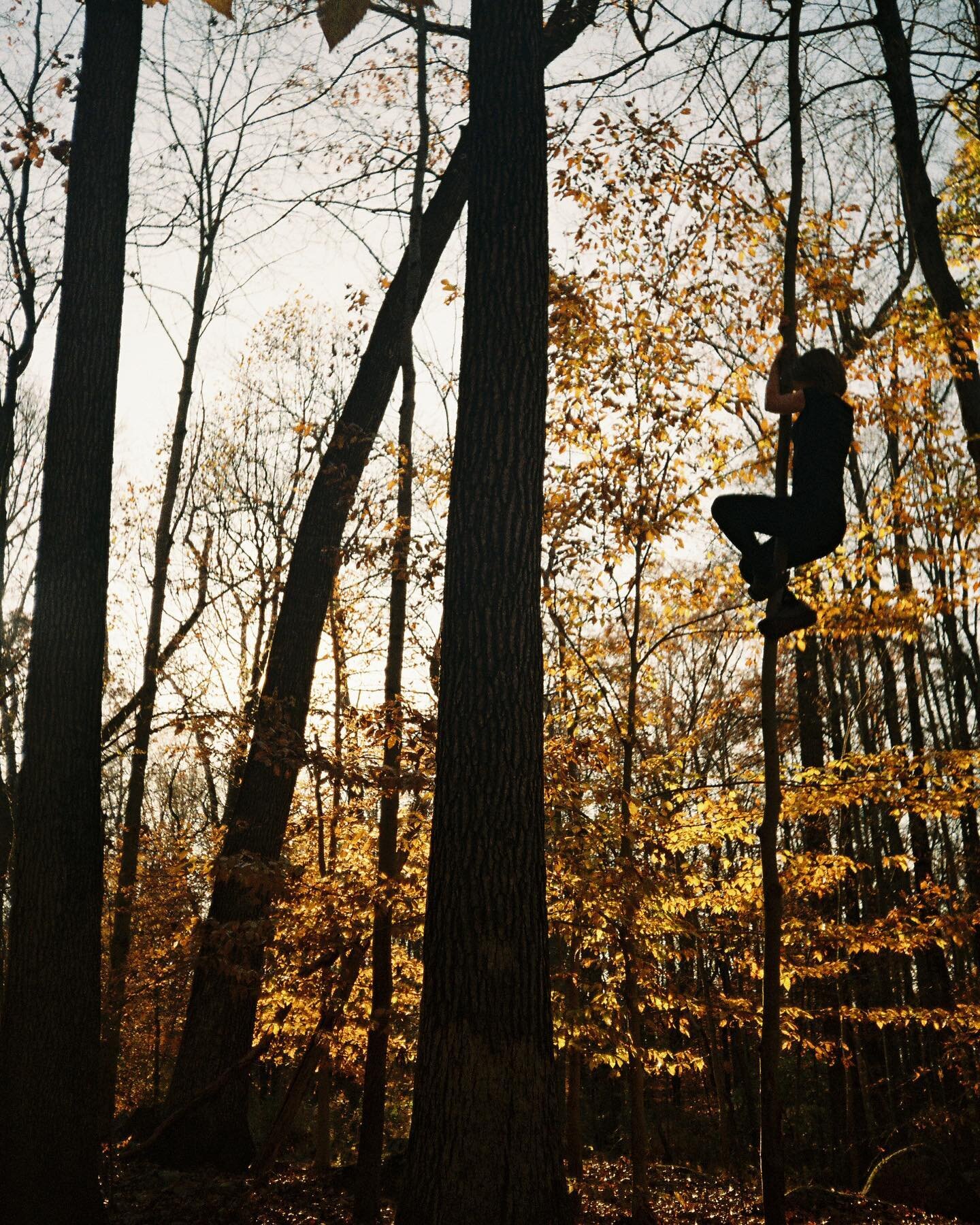 Fun in the woods #35mm