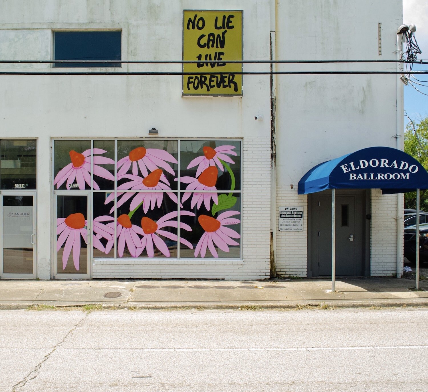  Purple Coneflower Mural by Jasmine Zelaya 