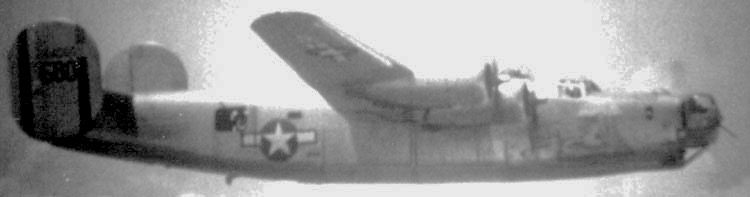 Lonesome Lady in Flight bright.jpg