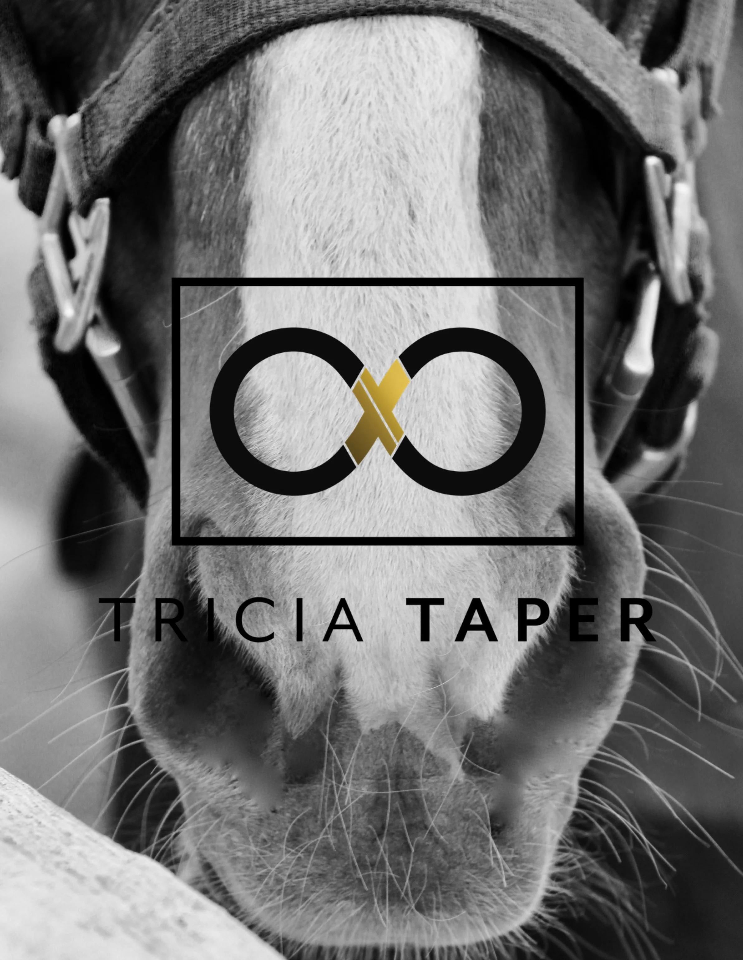 Unknown 8.50.36 PM.jpeg