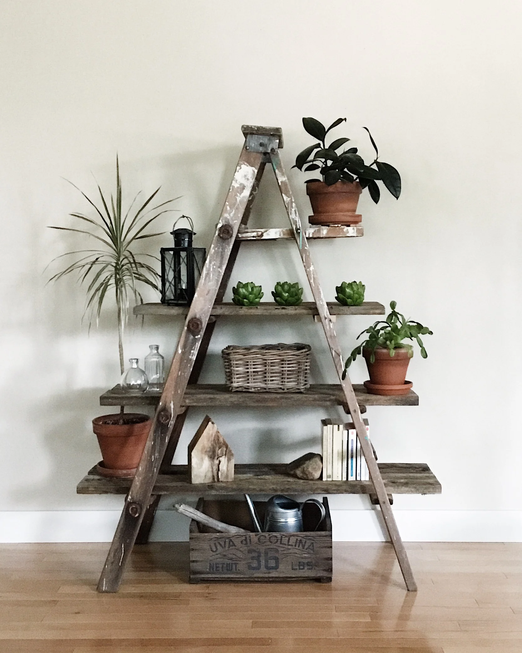 Escabeau-shelf (F63)