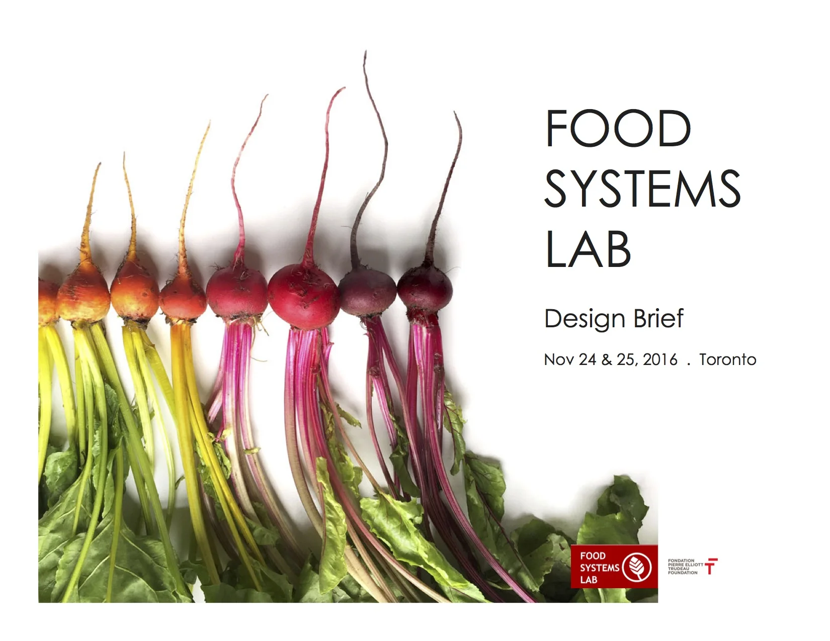 Food Systems Lab Design Brief
