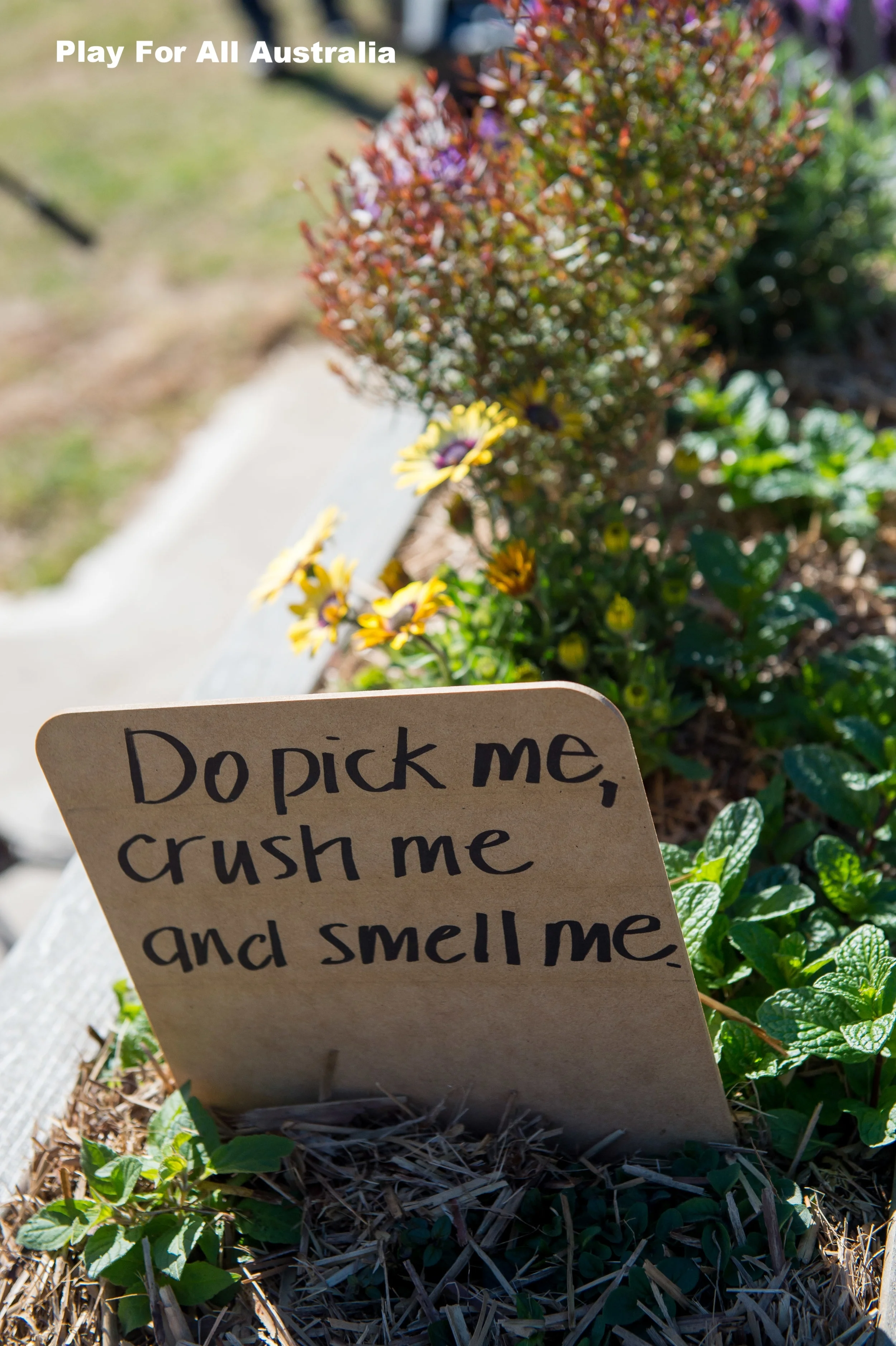 Play For All - Self-Maintaining Sensory Gardens