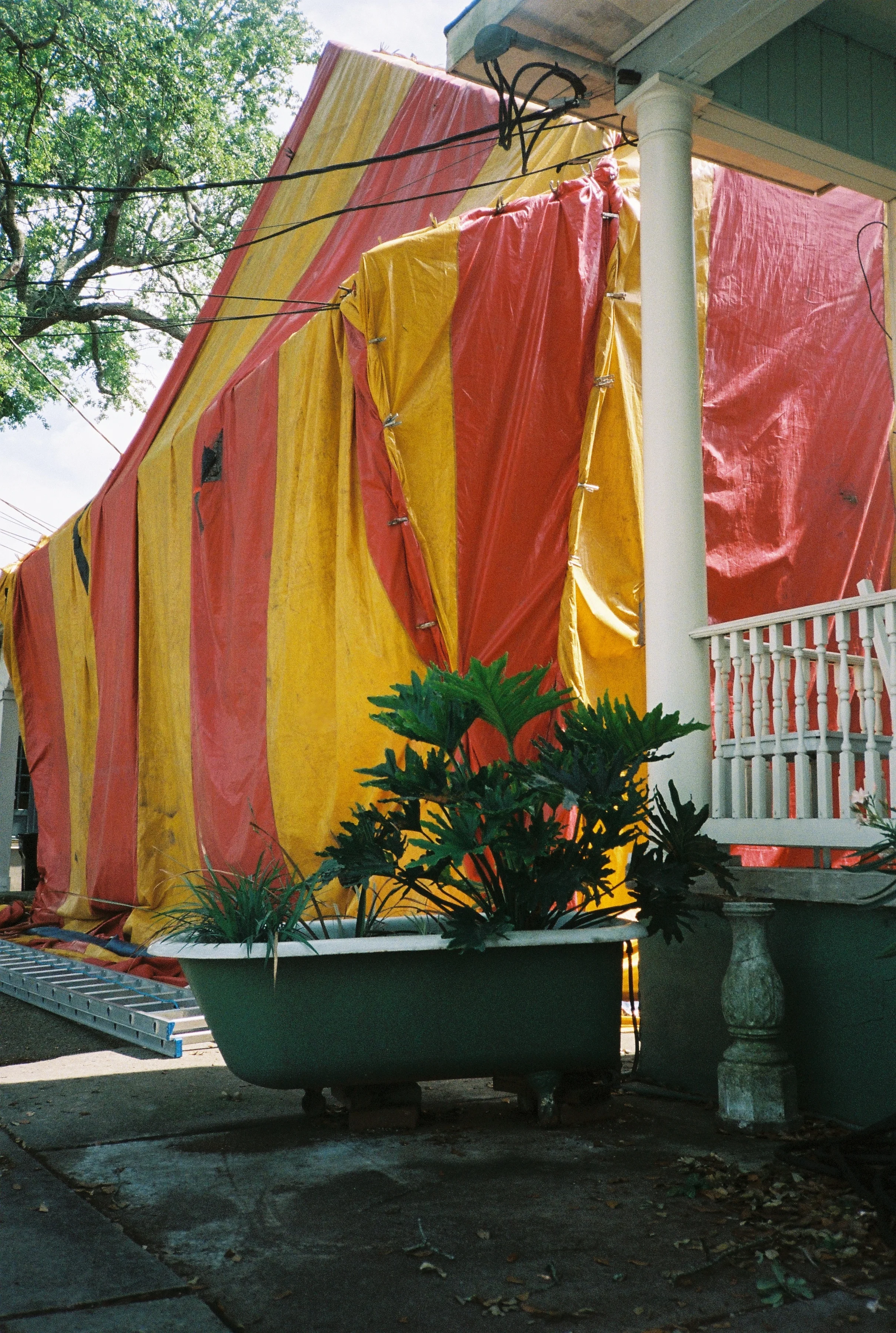 Roll1_516nygard-R1-24-13.JPG