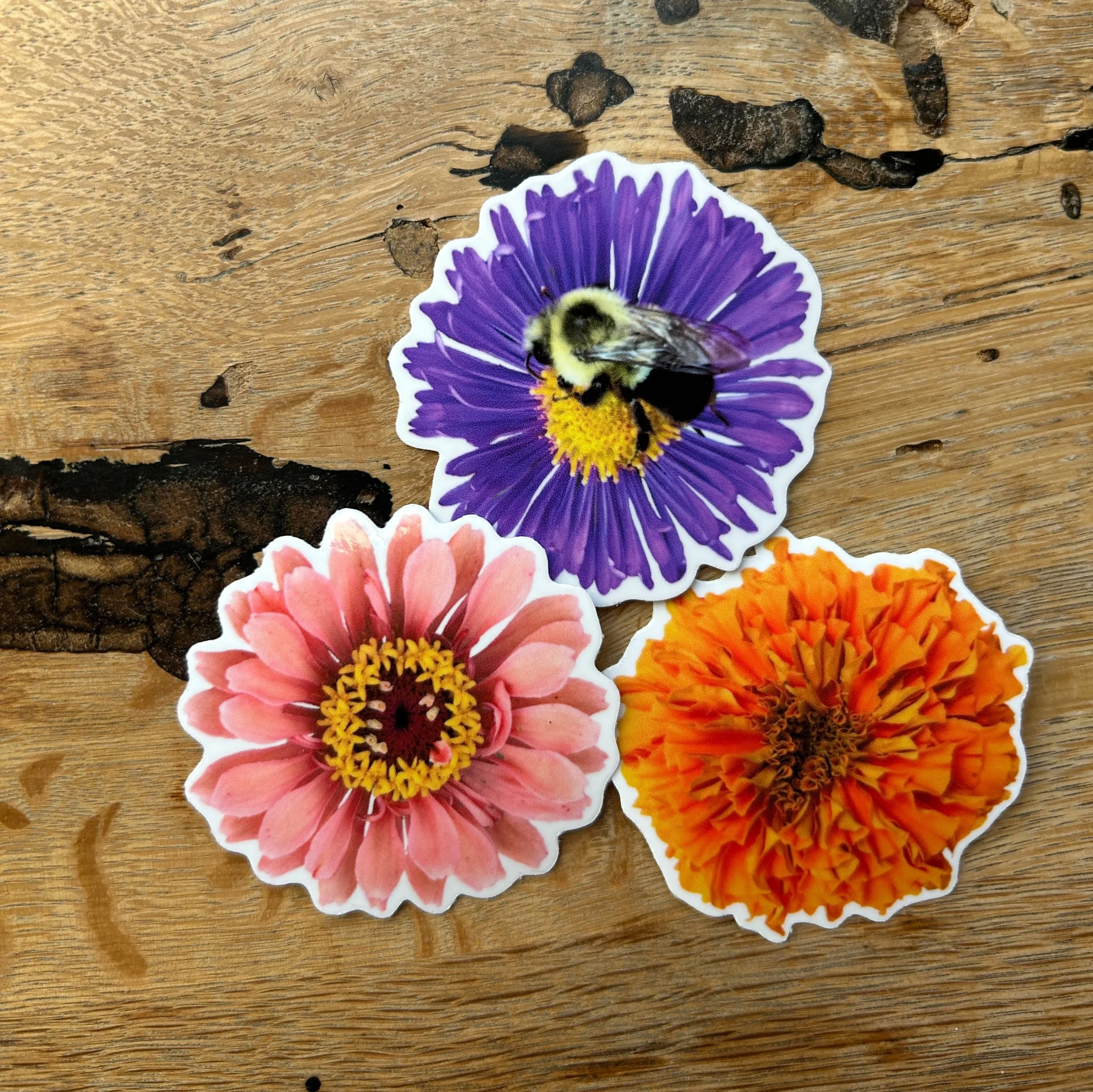 3 Flower Pack Nov 2025.jpg