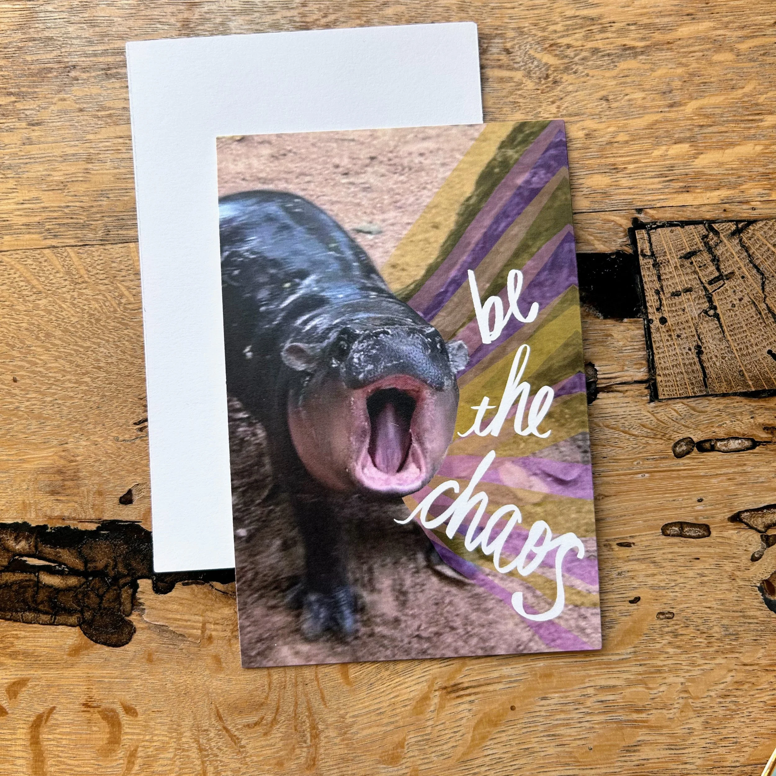 postcard pack chaos.jpg