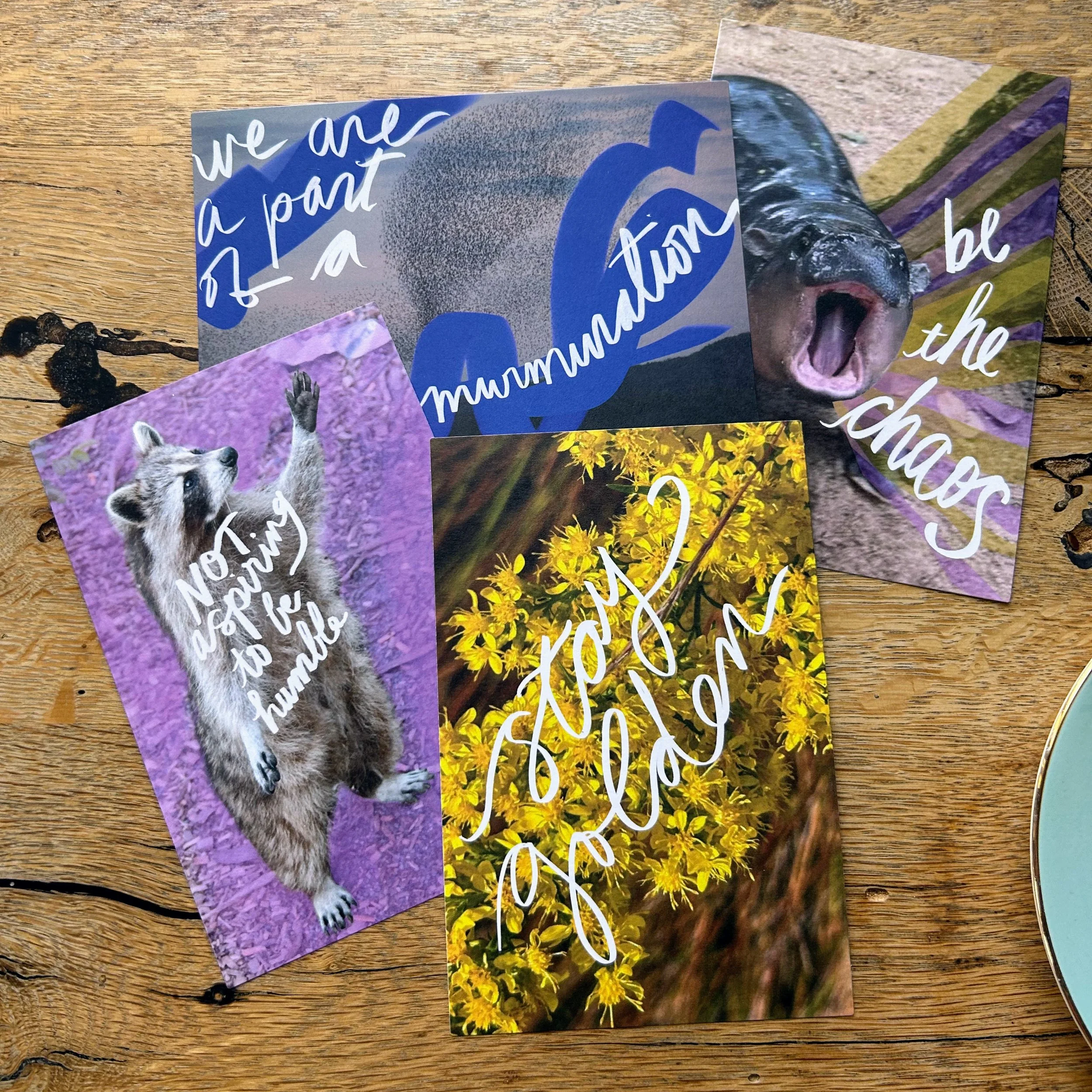 postcard pack four.jpg